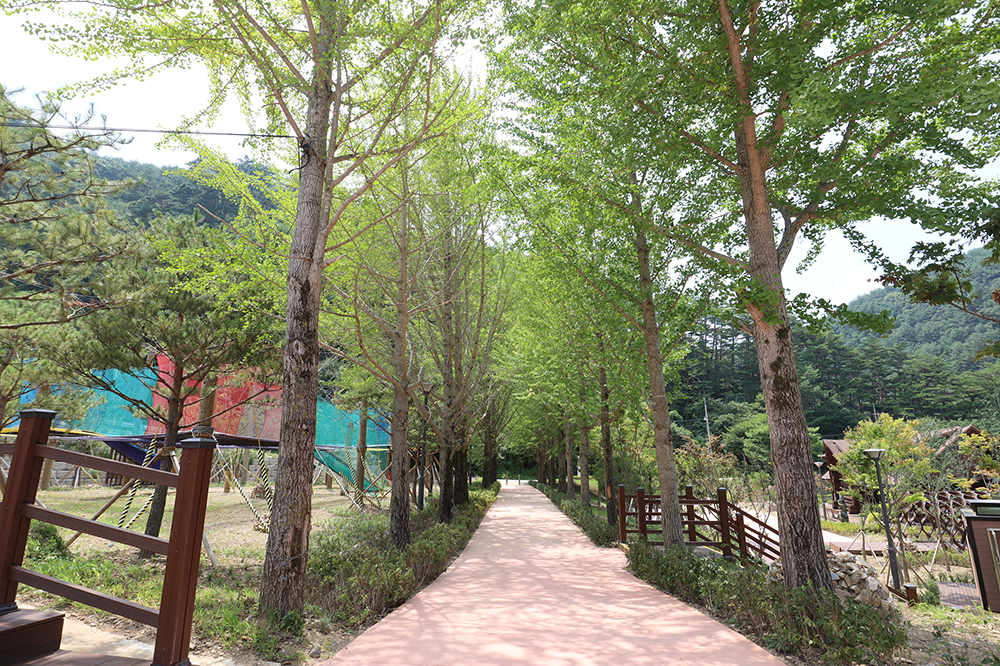 왕피천 계곡 전경